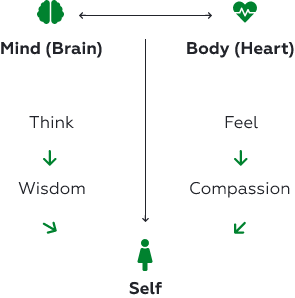 My Perspective/ Learnings